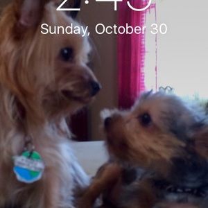 Meet your Posher, Tina